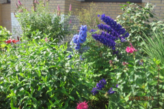 img_5912_thumb