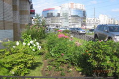 img_5913_thumb