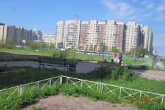 img_4802_thumb