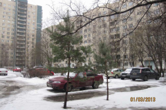 do_remonta_3