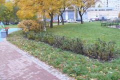 posle_remonta_9