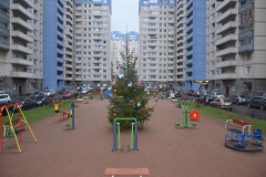 Новогодние ели
