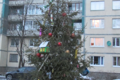 koroleva_24-1