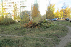 img_1010_thumb