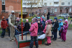 Посадка кедров 2013