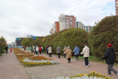 img_8017_thumb