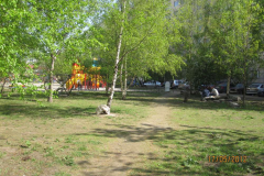 img_0562_thumb